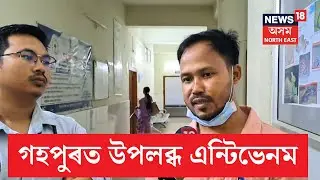 Gohpur Medical Antivenom | গহপুৰৰ শ্বহীদ কনকলতা বৰুৱা অসামৰিক চিকিৎস্যালয়ত উপলব্ধ এন্টিভেনম | N18V