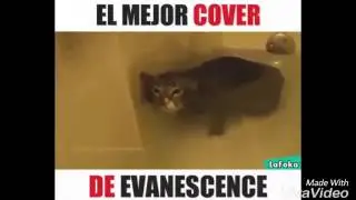 El Mejor Cover de Evanescence