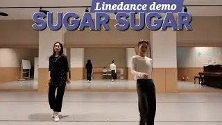 SUGAR SUGAR Linedance demo #슈가 슈가 라인댄스 데모#허니#즐춤 #어디서든 #언제든 #춤ㆍ서ㆍ이