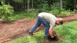 Grass removal transplant native pt.3