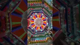 I didn't expect DALIAN to look like this #chinavlog #china #filmmaker