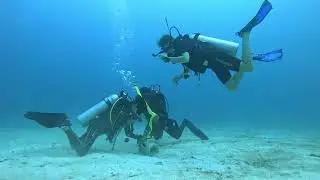 Akumal - January 2026