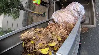 Heavy Manual Greens in the Fall