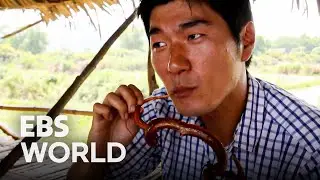 A Feast of Snake Dishes! | Cambodia&rsquo;s Exotic Insect Dishes | World Theme Travel | #PickedDocumentary
