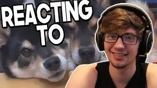 Reacting to the 