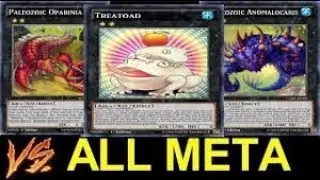 paleozoic frogs 2019 April ygopro
