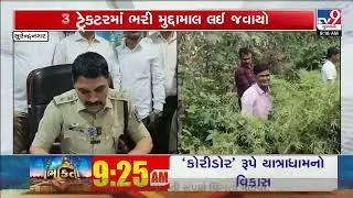 Large scale Ganja cultivation busted in Surendranagar | Gujarat | TV9Gujarati