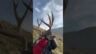 Antelope Island Mule Deer (Only Public Tag 2023. #muledeer #hunting #deerhunting #huntingseason