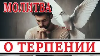 Молитва о терпении: Обретаем силы претерпевать в молитве от Бога