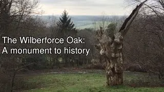 History without grandeur: William Wilberforce's Oak
