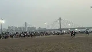 Surat Horse Show 2026 