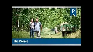 Die Maulbeeren des Paradeiserkaisers Stekovics