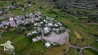قرية الريامي تكتسي لباسها الذهبي