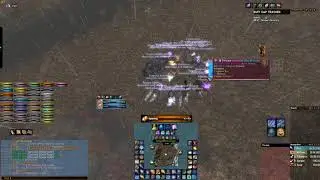 World Of Warcraft   Classic Songflower