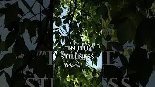 Ancient Voices in the Forest | Forgotten Gods