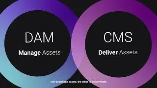 Digital Asset Management vs. Content Management System (CMS)