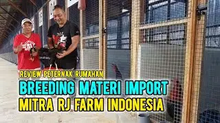 🔴Line Import - Materi Drumband Baru dari RJ Farm Indonesia