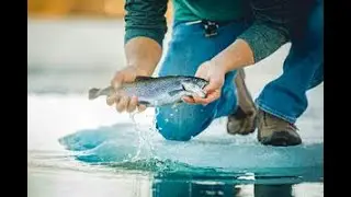 Top 10 Trout Lakes in Kansas