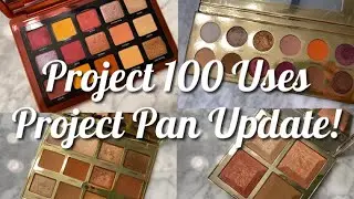 PROJECT 100 USES PROJECT PAN UPDATE!
