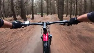 Bottle Lake Outer Trail Part 1- Christchurch, NZ