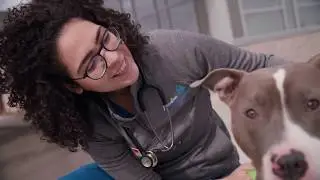 Madison Veterinary Specialists