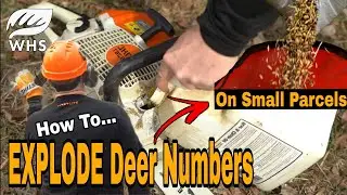 How To Fit More Deer On Your Land