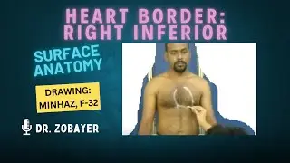 Surface Anatomy II HEART II Left border & Inferior border of Heart II Surface marking