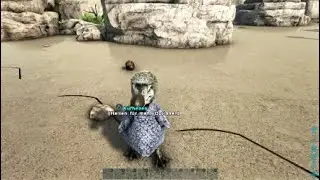 Dodo z&auml;hmen |Ark Survival Evolved|tutorial | Deutsch