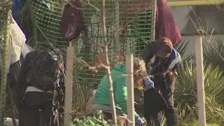 'Trash for Peace' is working to keep every community greener