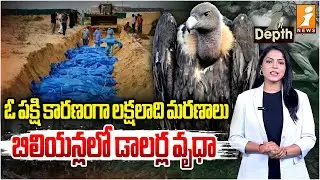 ఓ పక్షి కారణంగా బిలియన్ డాలర్లు నష్టం ! | vulture population declining | inDepth | iNews
