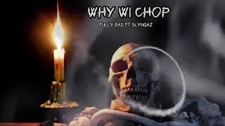 Fully bad ft slyngaz - why wi chop (refix) visualizer
