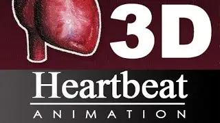Heart 3D Animation ll हृदय का 3d वीडियो  #heartbeating#heartanimation #harshit_tiwari_hariom