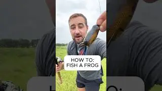 Top water frog HOW TO🎣🔥🎣 #bassfishing #fishing #fish #topwater #frogfishing