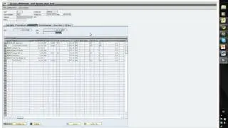 SAP IS-OIL SSR Fleetcard processing video 4