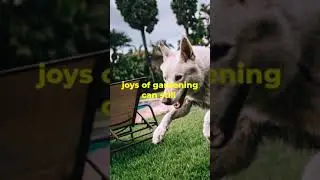 Facts about Dog Safe Plants for Your Yard