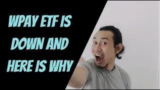 ETF Roundhill WeeklyPay Universe (WPAY ETF) снизился.