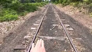 Golf Ball Hunting at a Bridge *Awesome Idea*
