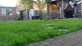 Rambo kick to half volly