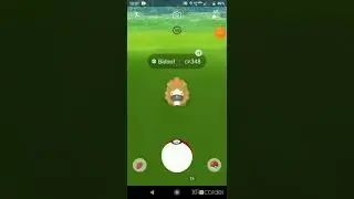 how to make an excellent throw on Bidoof. # pokemon go # Bidoof event # 2 catch xp.