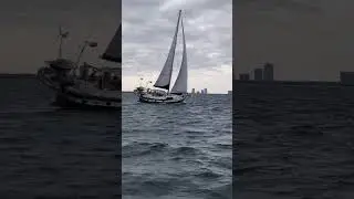 The beauty of sailing!