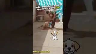 Officer and Dog Emotional Bond❤️