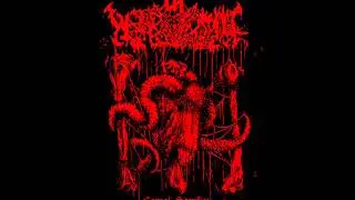 Warpvomit [USA] - 