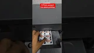 How to Passport size photo printing best printer Epson L8050 pvc Card printing 2in1 printer