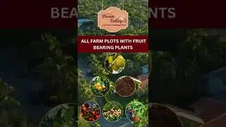 Dream valley 3 Best farmland project very near to  shadnagar town@contact us 9391151121