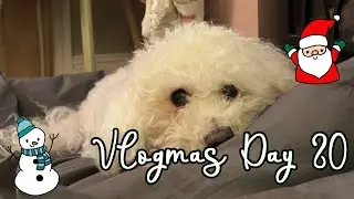 Vlogmas Day 20 - Wrapping & Staring At Lava Lamps