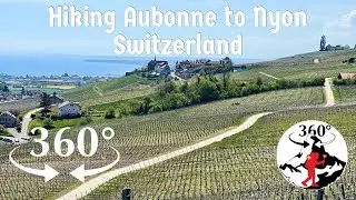 Hiking the Vineyards of Fechy (360-degree, VR Video of Long Distance Hiking in Switzerland)