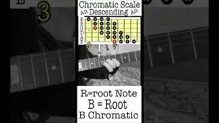 B chromatic scale descending alt, chromatic scale B #guitarscales #musictheory