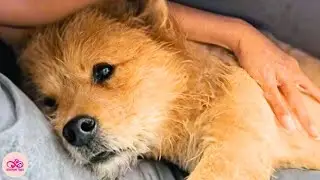 Norman Escaped the Meat Market But Couldn&rsquo;t Escape His Fear Until Love Found Him
