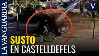 El susto de un hombre al que casi le cae un &aacute;rbol encima en Castelldefels por las r&aacute;fagas de viento