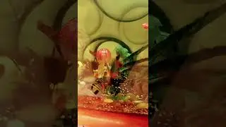 простите что так долго не было видео #видео #драконынаруку #дракон #драконизтиктока